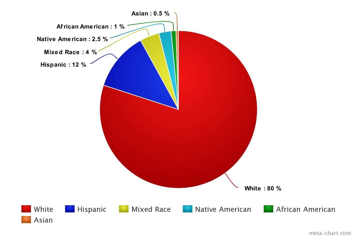 Ethnic Demograhics chart for North District 5