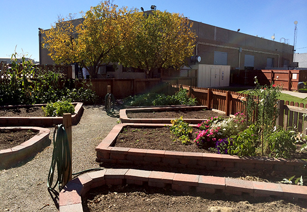 Community Gardens in Adams County