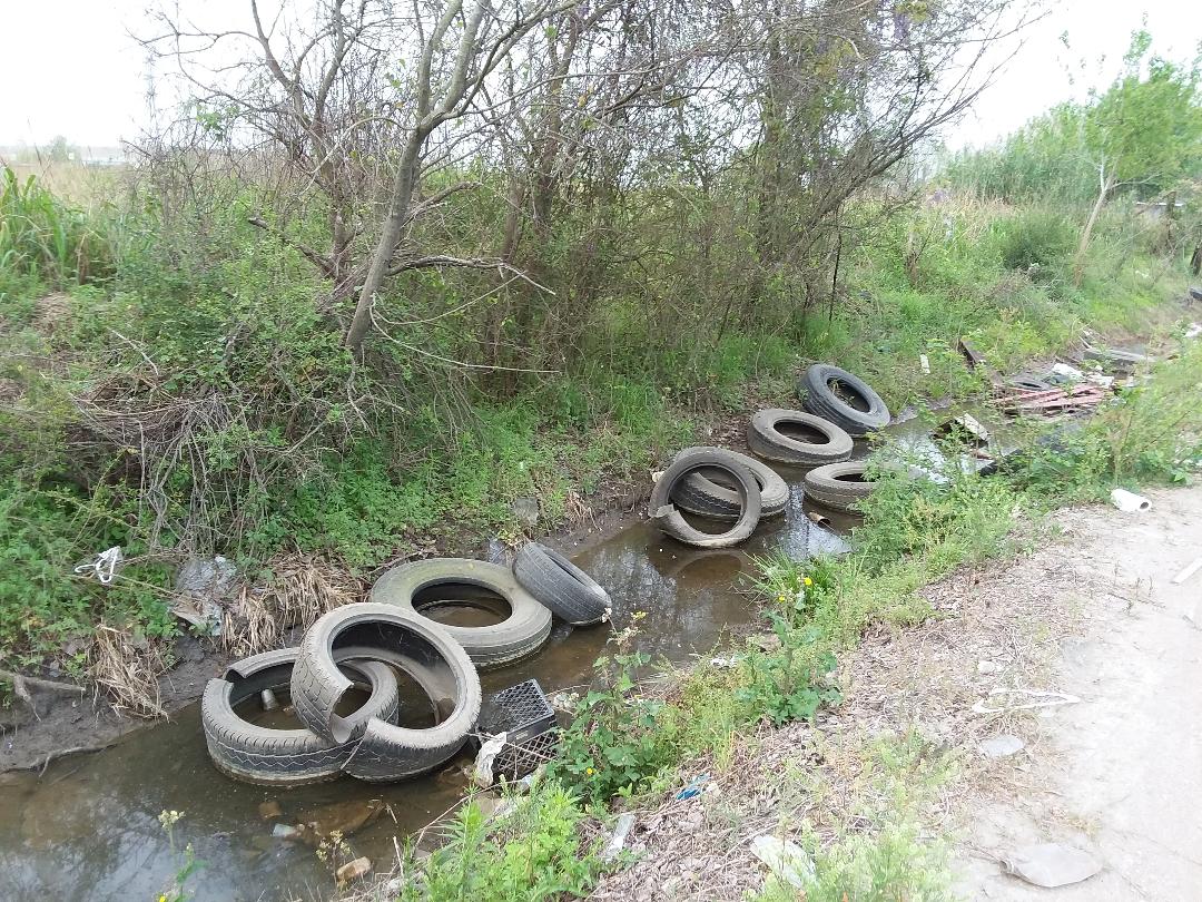Tires in Ditch