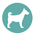 dog icon